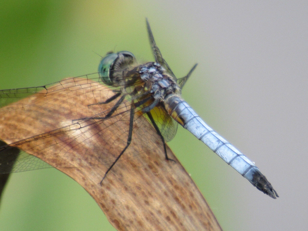 The Depot Lodge主图