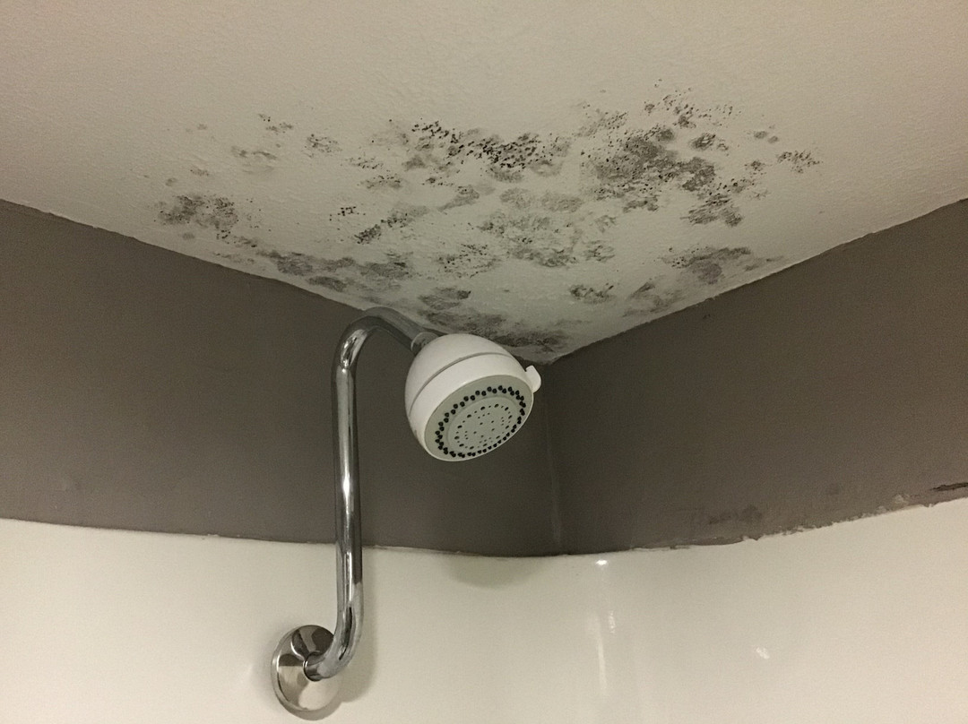 Best Western Coachlight主图