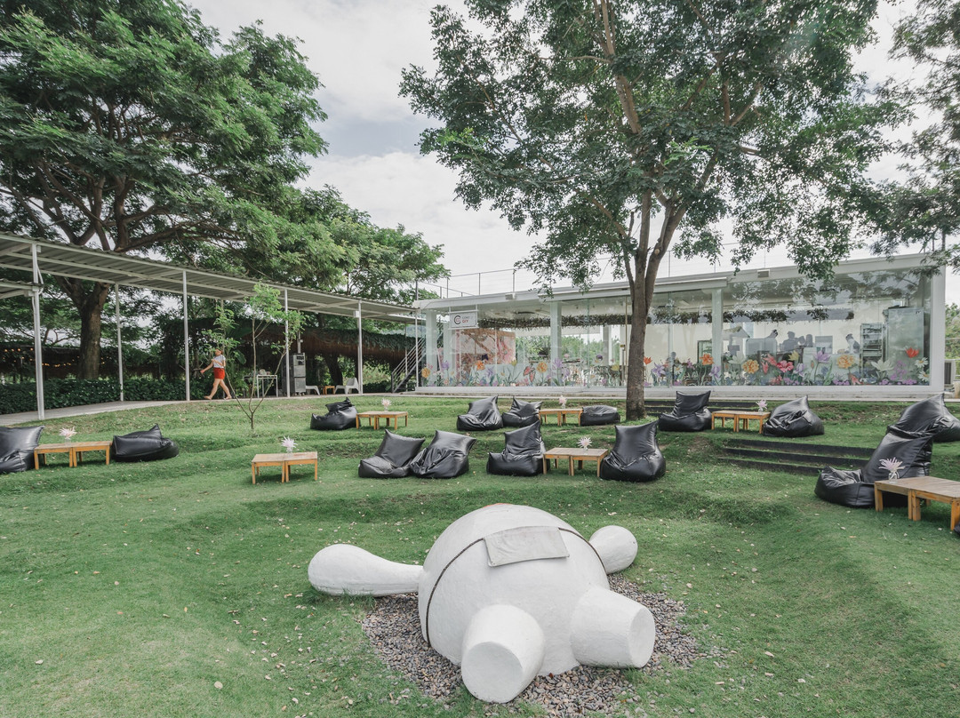 Coro Field景点图片