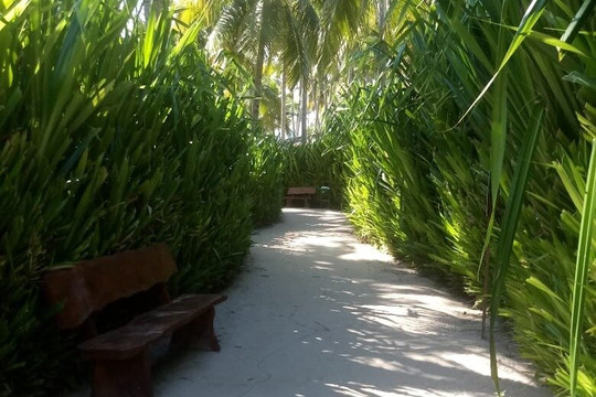 Porto Translado-嘎林海斯港必去景点