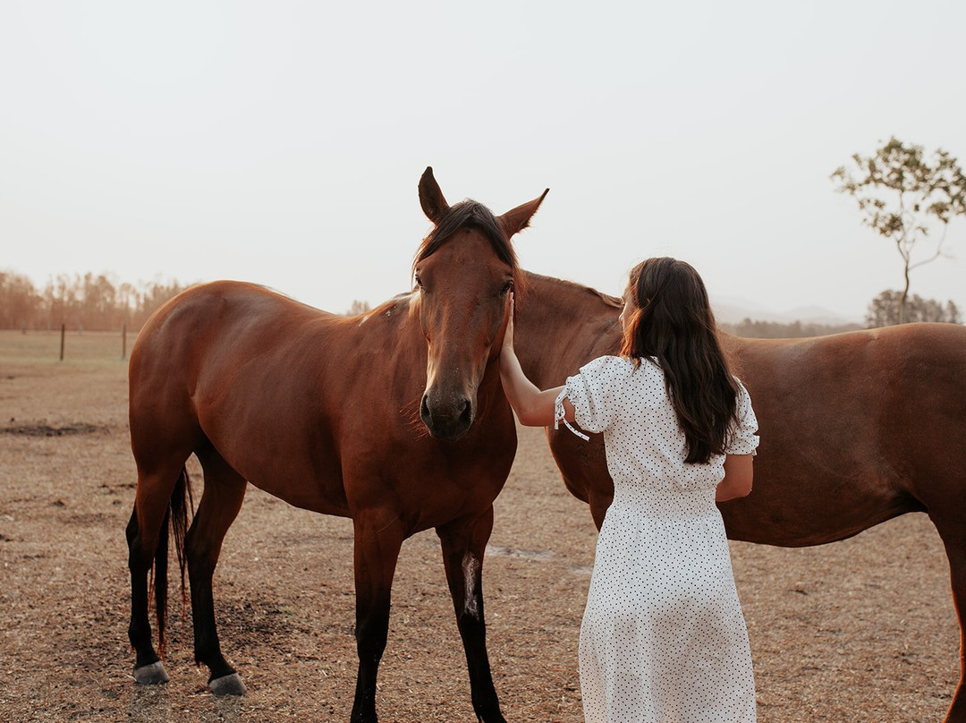 Laurina Estate主图