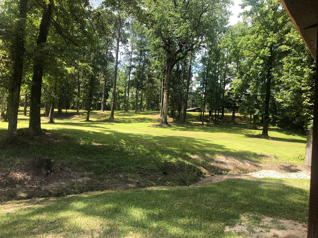 Bladon Springs State Park-Silas必去景点