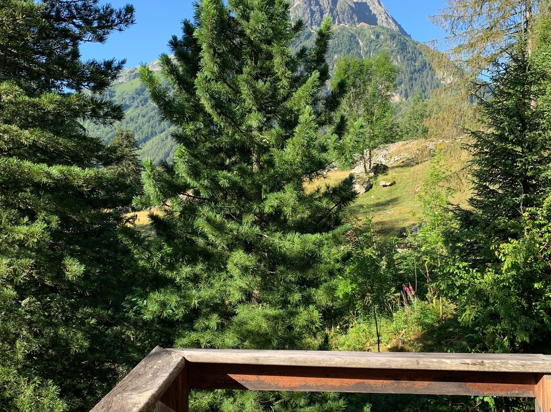 The Guest House & Ski Lodge主图
