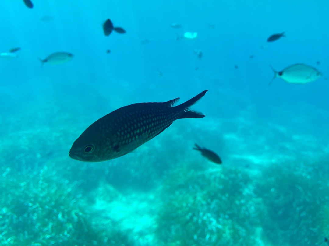Cala en Basset-Sant Elm必去景点