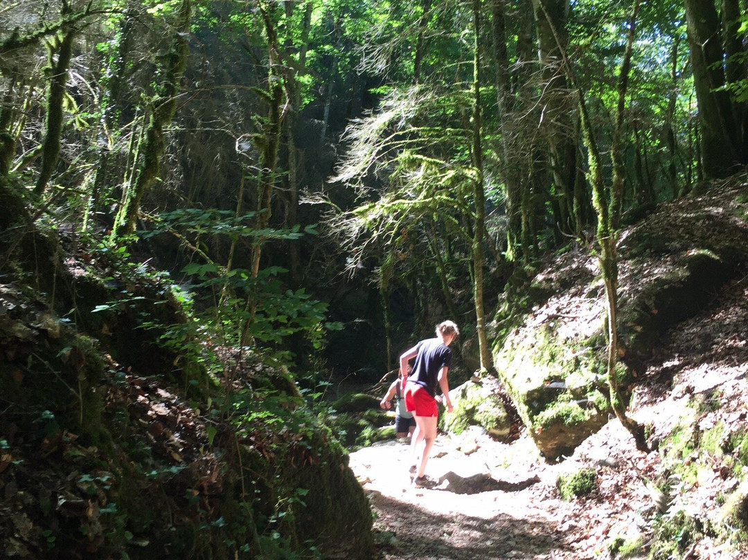 Gorges d'Omblèze景点图片