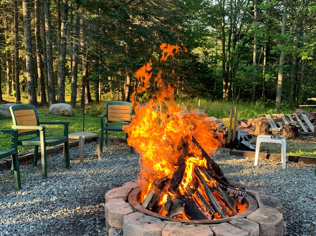 Belle Isle Motel主图