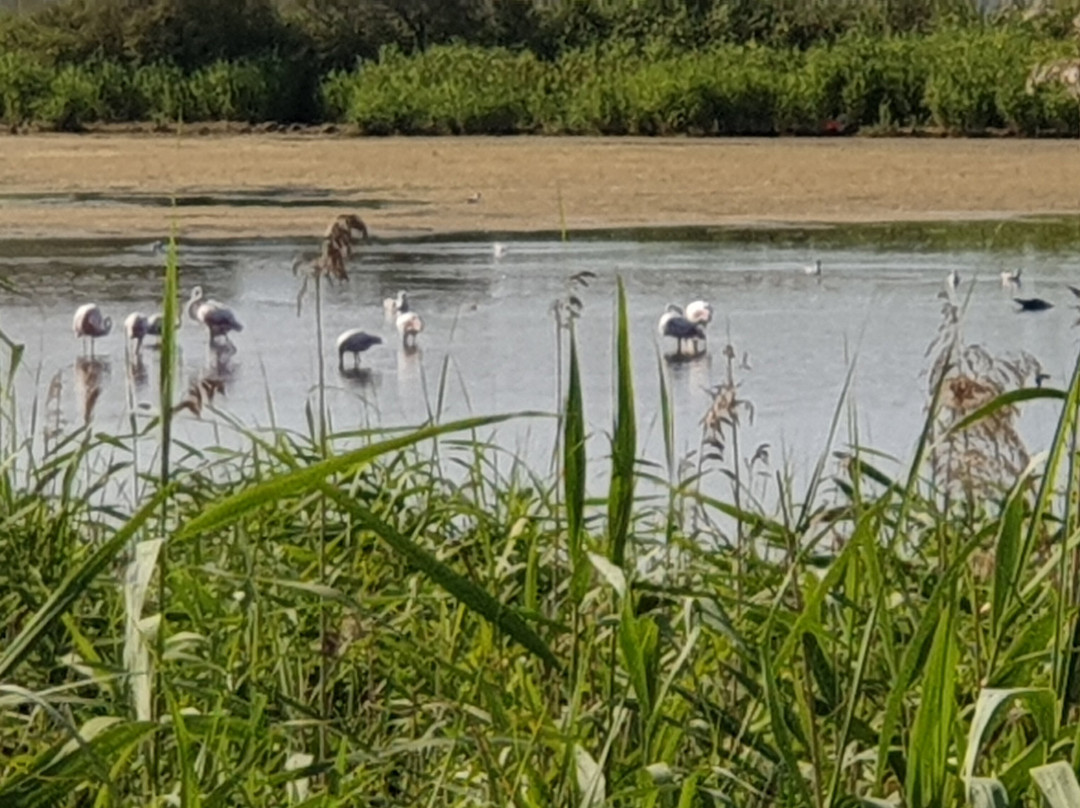 Hotel Point Bleu主图