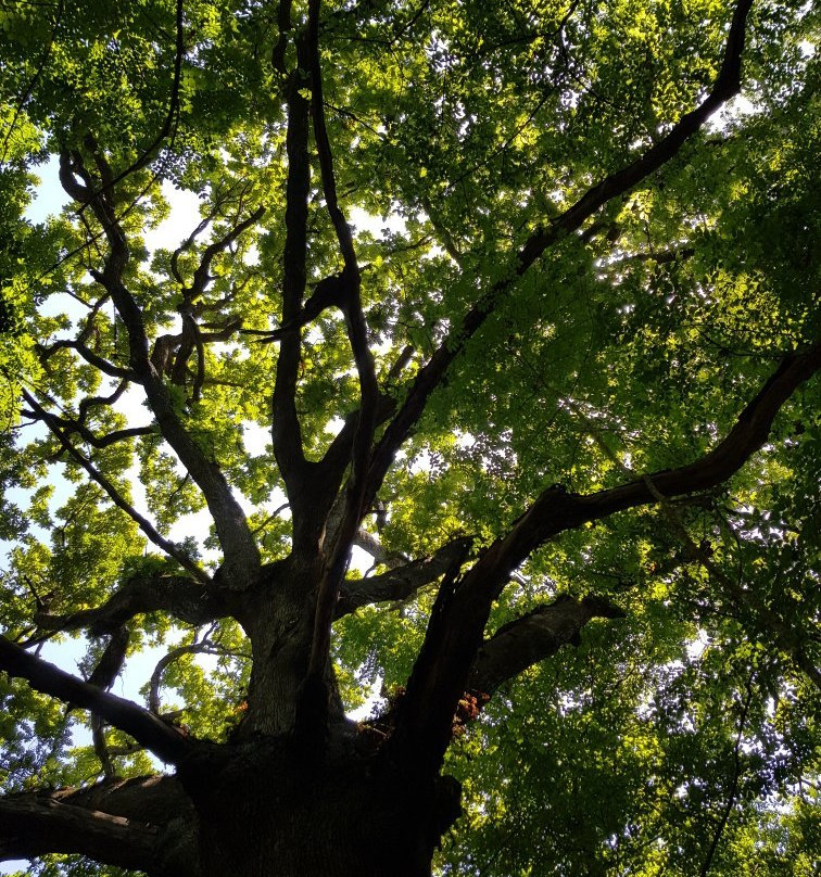 Parco Nazionale Del Circeo景点图片