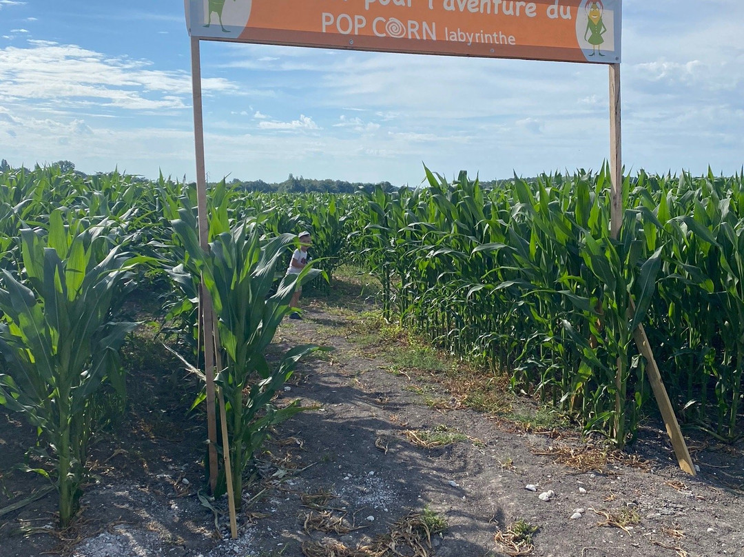 Pop corn labyrinthe景点图片