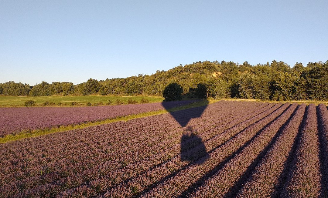 Aéronefs & Aérostats De Provence-Puimoisson必去景点