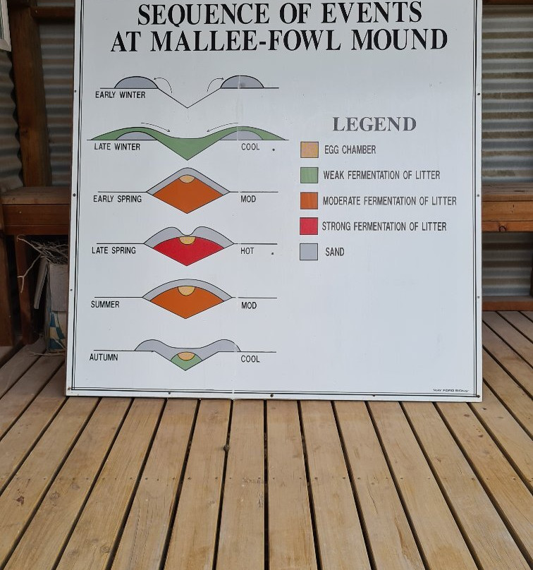 Yongergnow Australian Malleefowl Centre-Ongerup必去景点