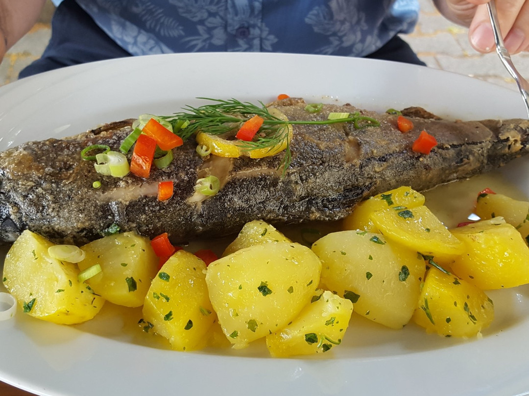 Höchstädt an der Donau旅游攻略图片