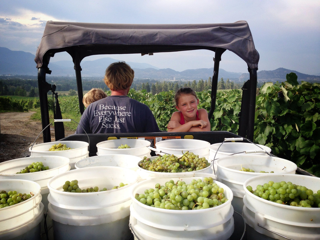 Sperling Vineyards-基洛纳必去景点