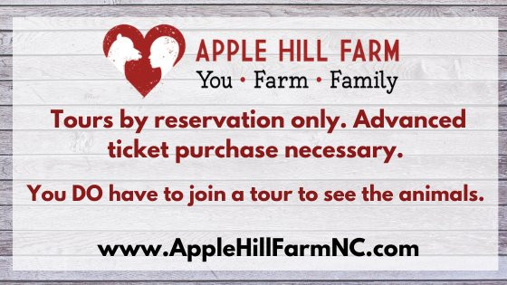 Apple Hill Farm景点图片