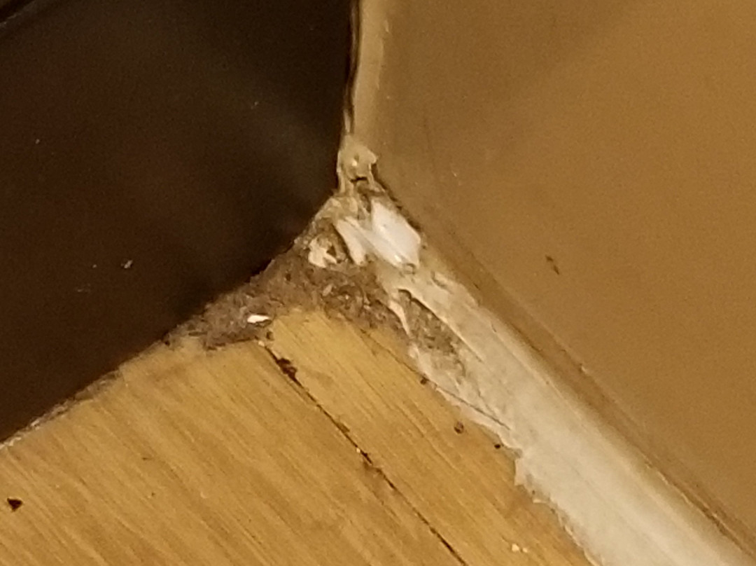 Red Roof Inn - Richmond South主图