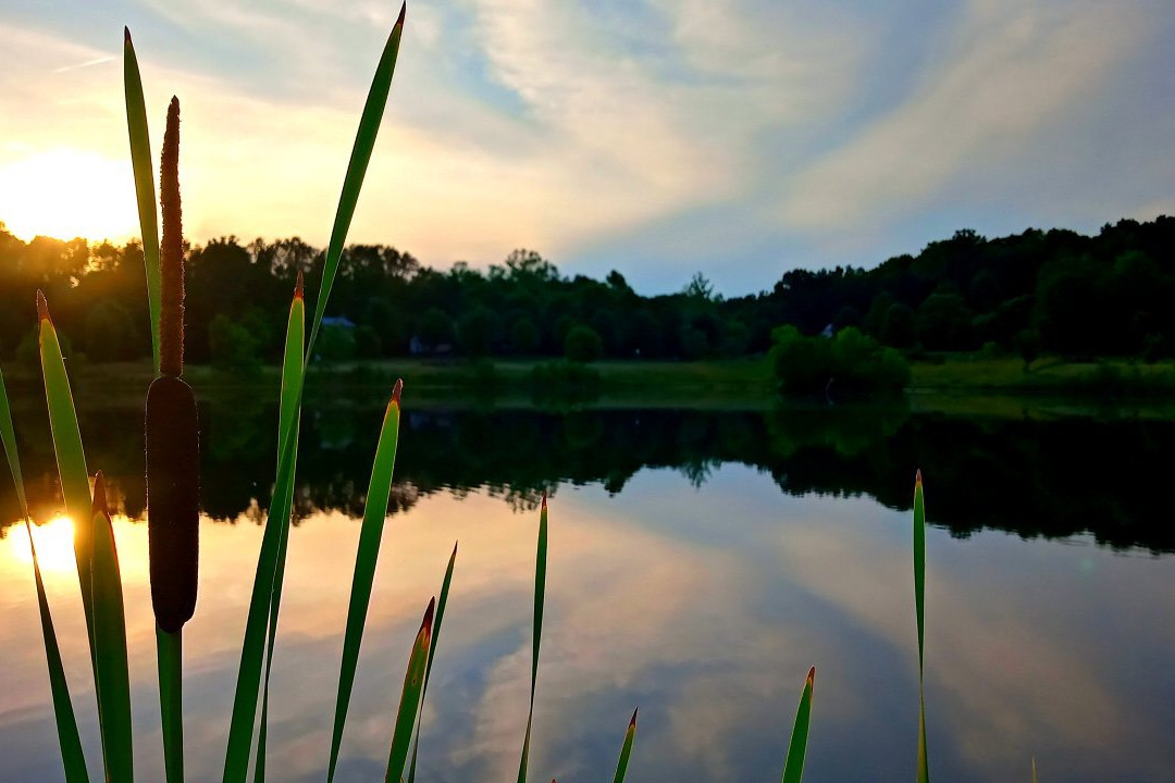 Olde Squat Inn Bed and Breakfast主图