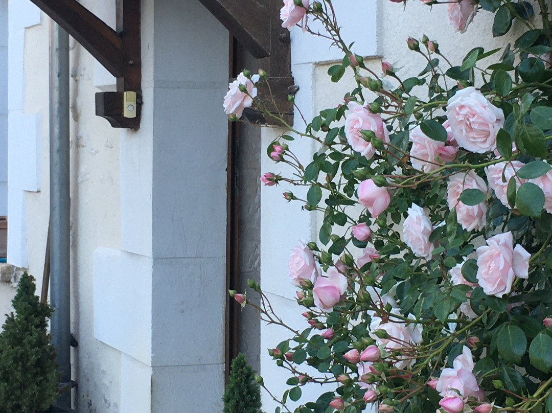 La Bihourderie主图