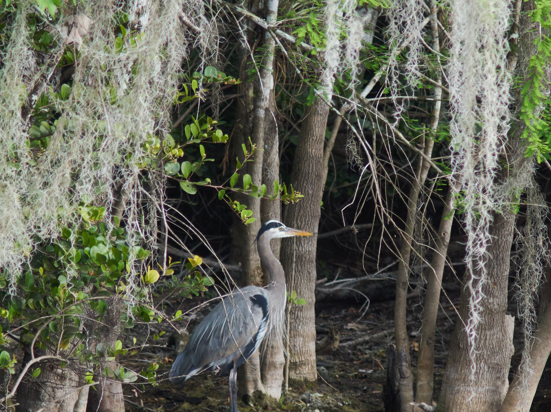 H.P. Williams Roadside Park-奥乔皮必去景点
