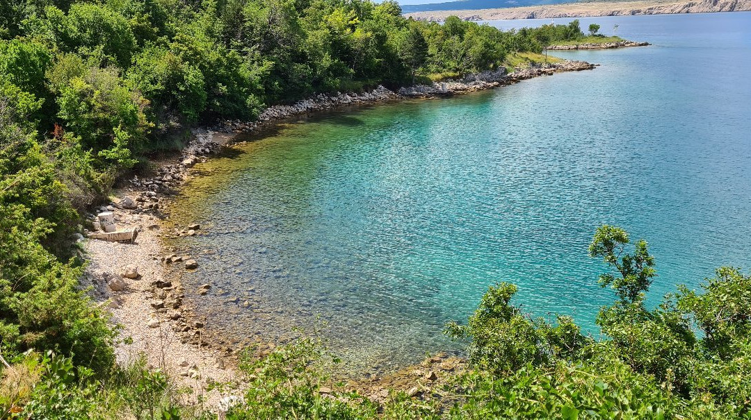 Apartmani Viktorija