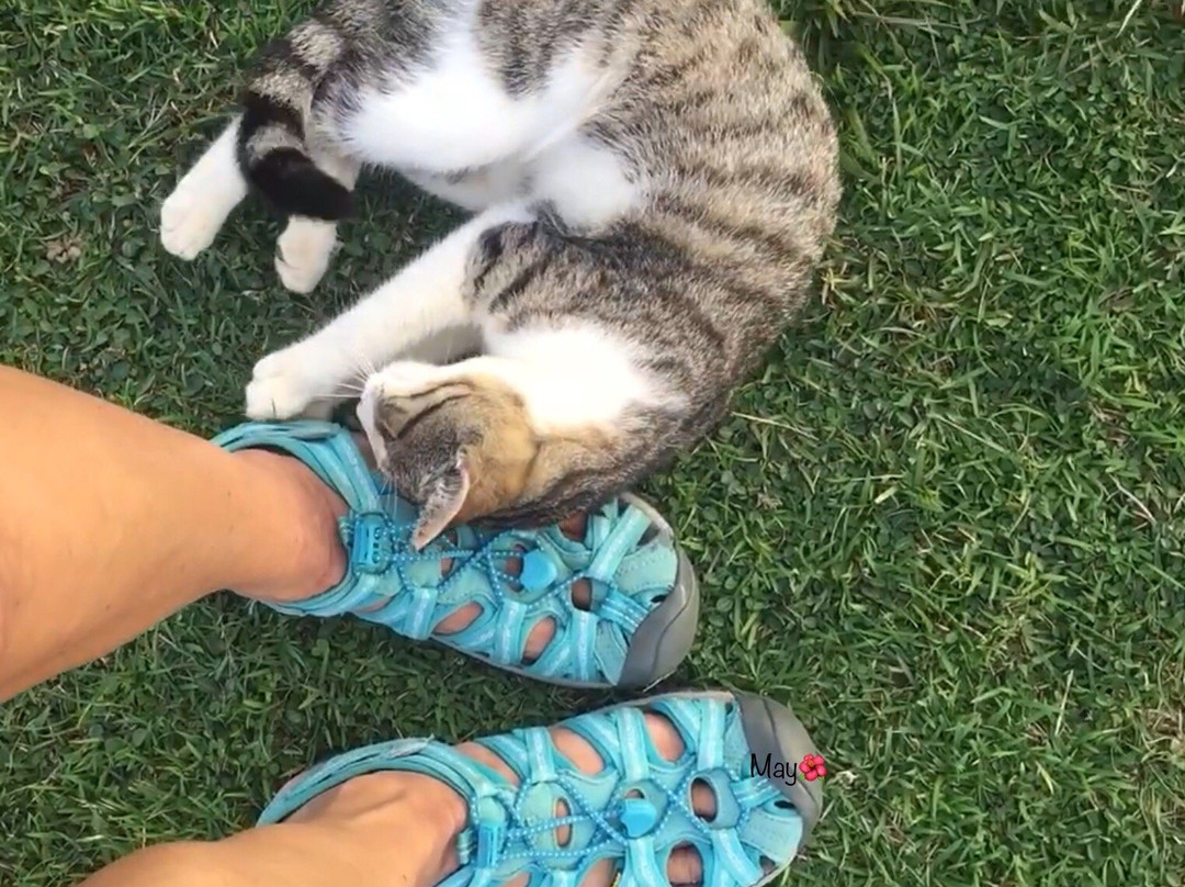 Piramide de Aguada-Aguada必去景点