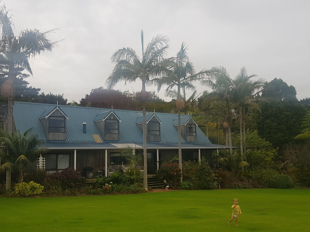 Lake Ngatu Lodge BnB & Gardens
