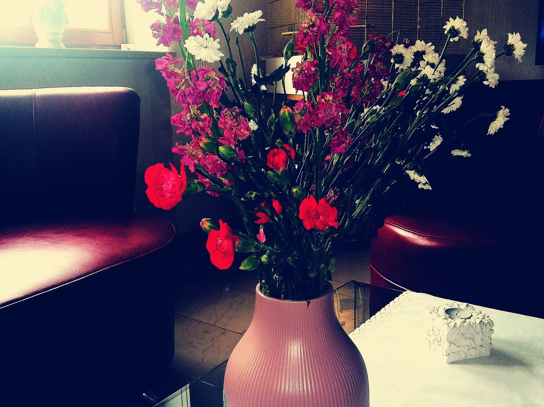 Hotel B.A.S Villa Residence主图