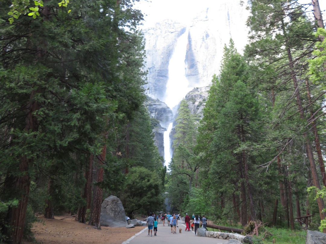 Lower Yosemite Fall Trail景点图片