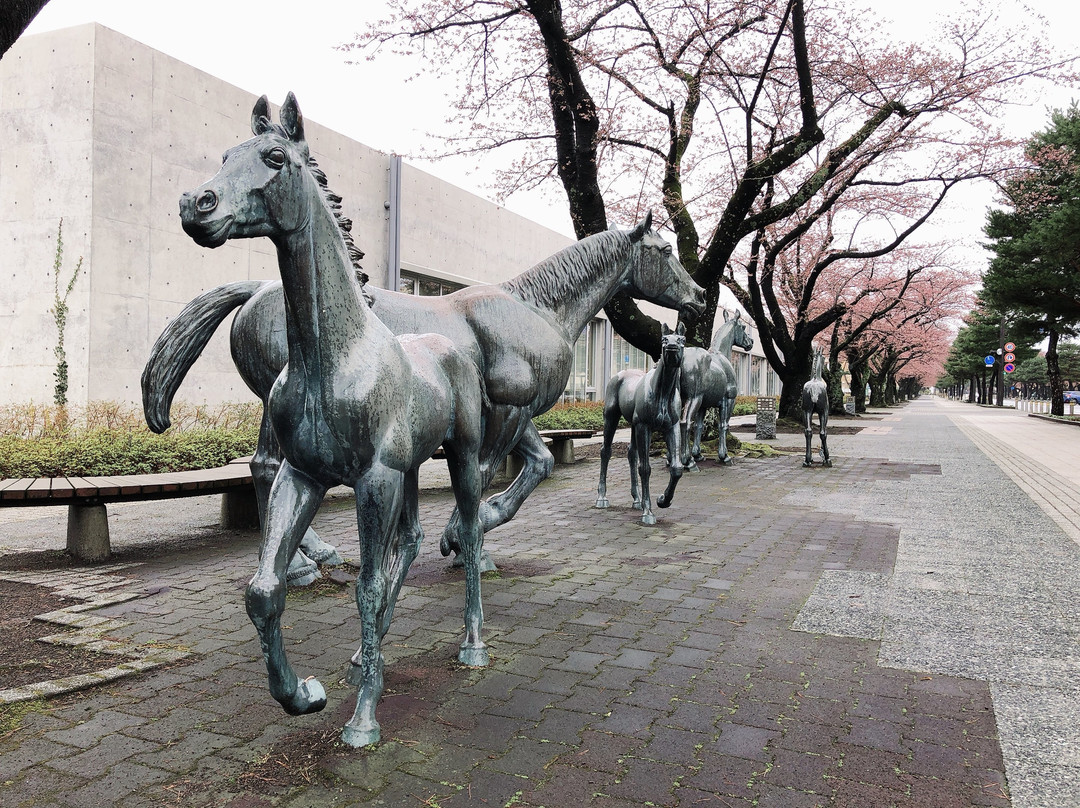 Towada City Library-十和田市必去景点