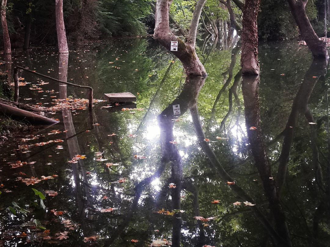 Saroz Korfezi-Edirne必去景点