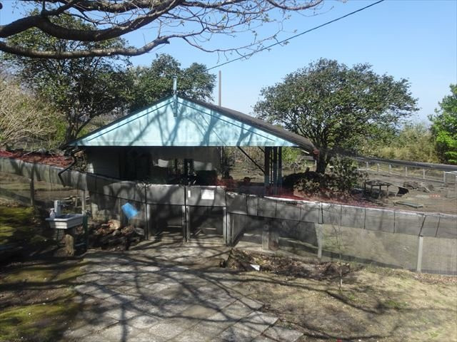 Tsubakihana Garden Squirrel Village-大岛町必去景点