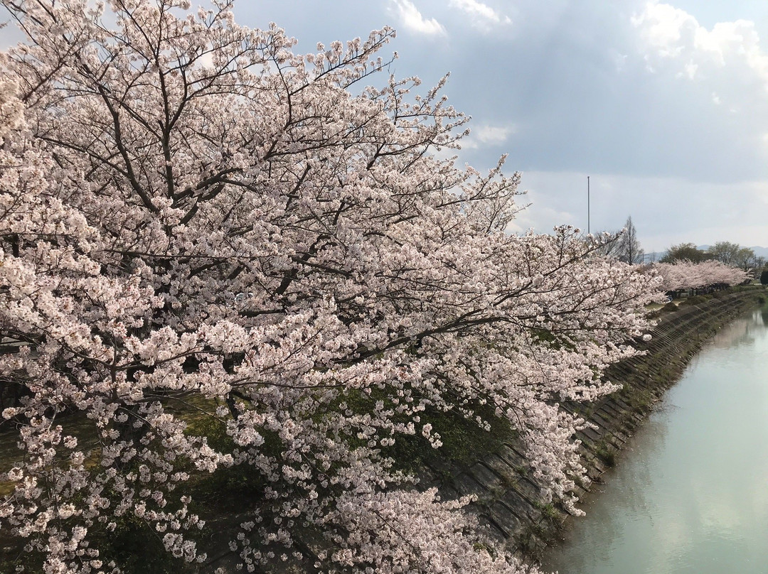 Sakanaigawa Shinsui Park-松阪市必去景点