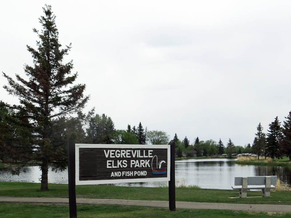 Vegreville Elks Park and Fish Pond-韦格勒维尔必去景点