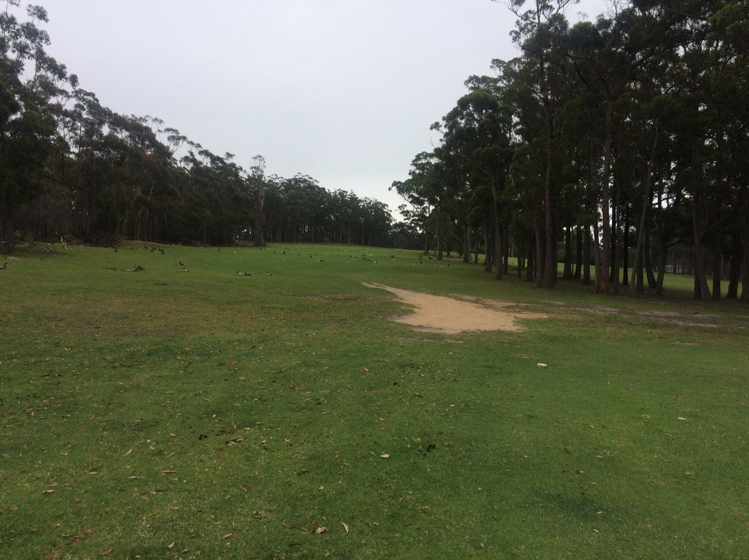 Eden Golf Course-伊登港必去景点