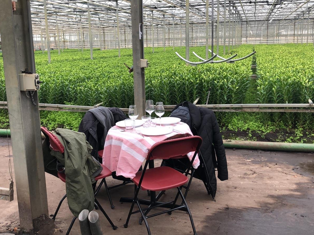 Nora's Tours-Alkmaar必去景点