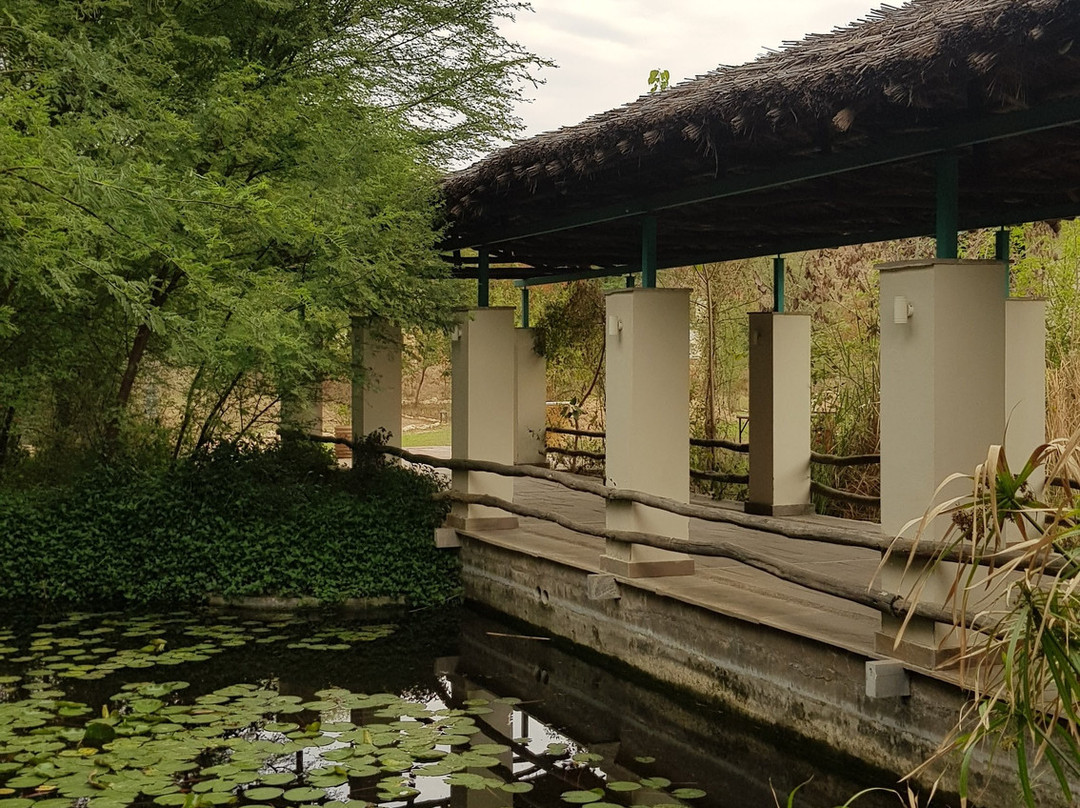 Trees N Tigers Sariska主图