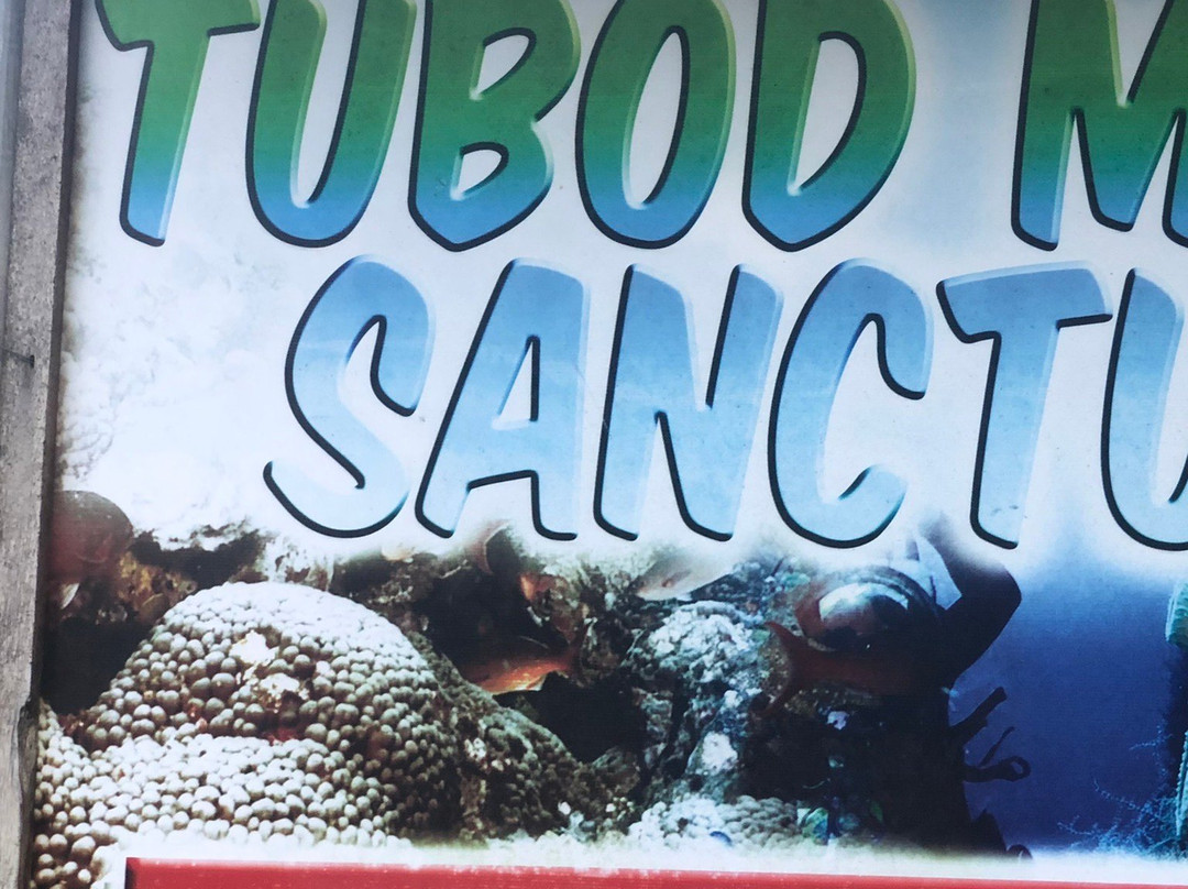 Tubod Marine Sanctuary景点图片