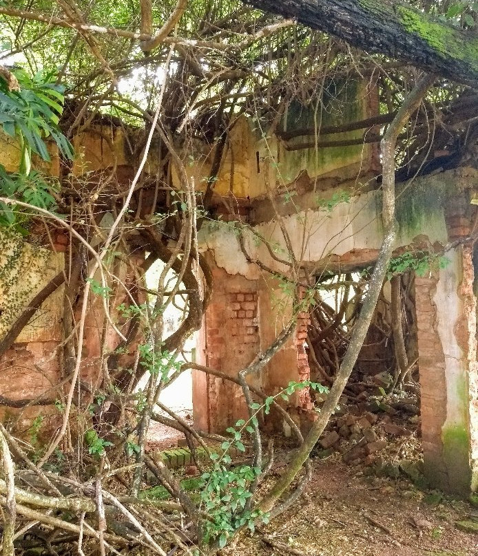 Ruínas do Hotel Rádio景点图片
