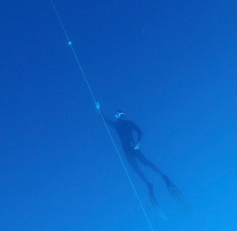 Apnea Canarias Freediving Center-圣克鲁斯-德特内里费必去景点