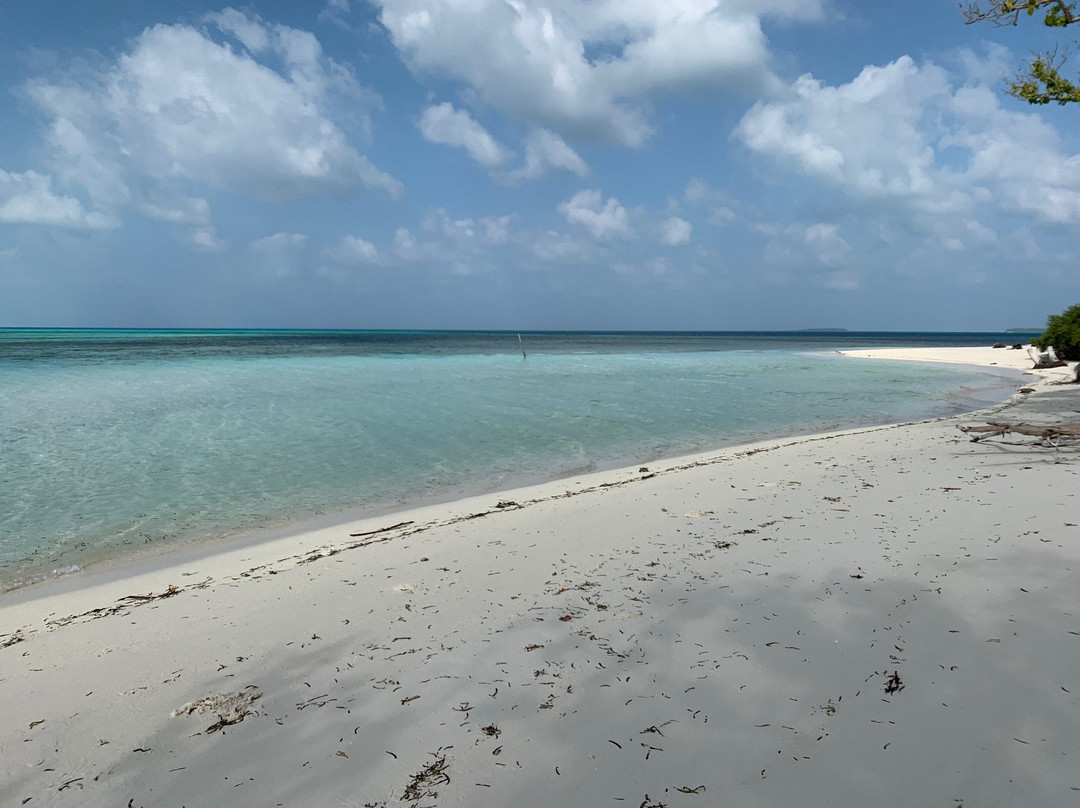 Horsburgh Island Guest House主图