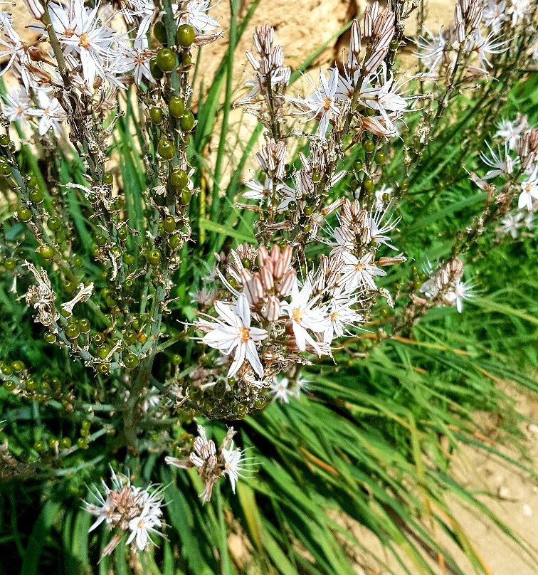 Smigies Nature Trail-城邦必去景点