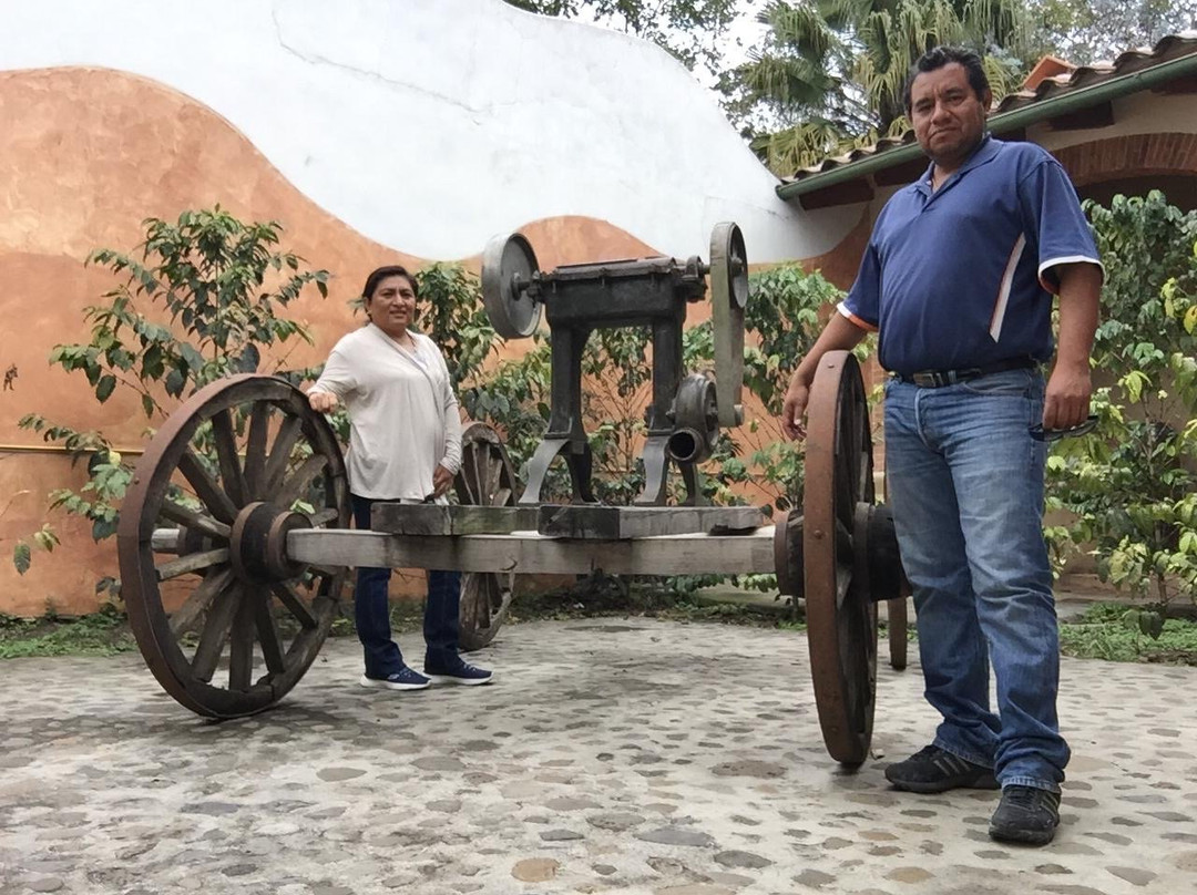 Museo del Cafe景点图片