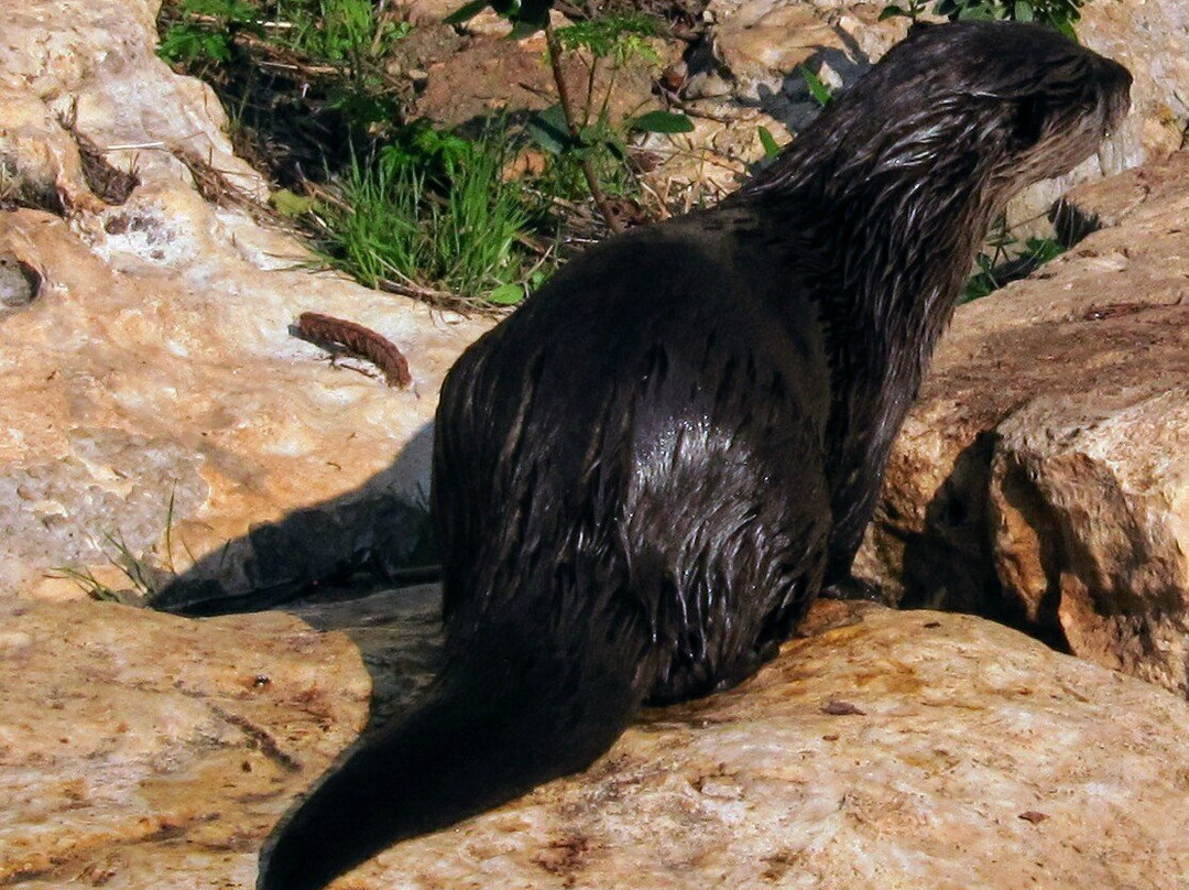 Haifa Educational Zoo-Haifa必去景点