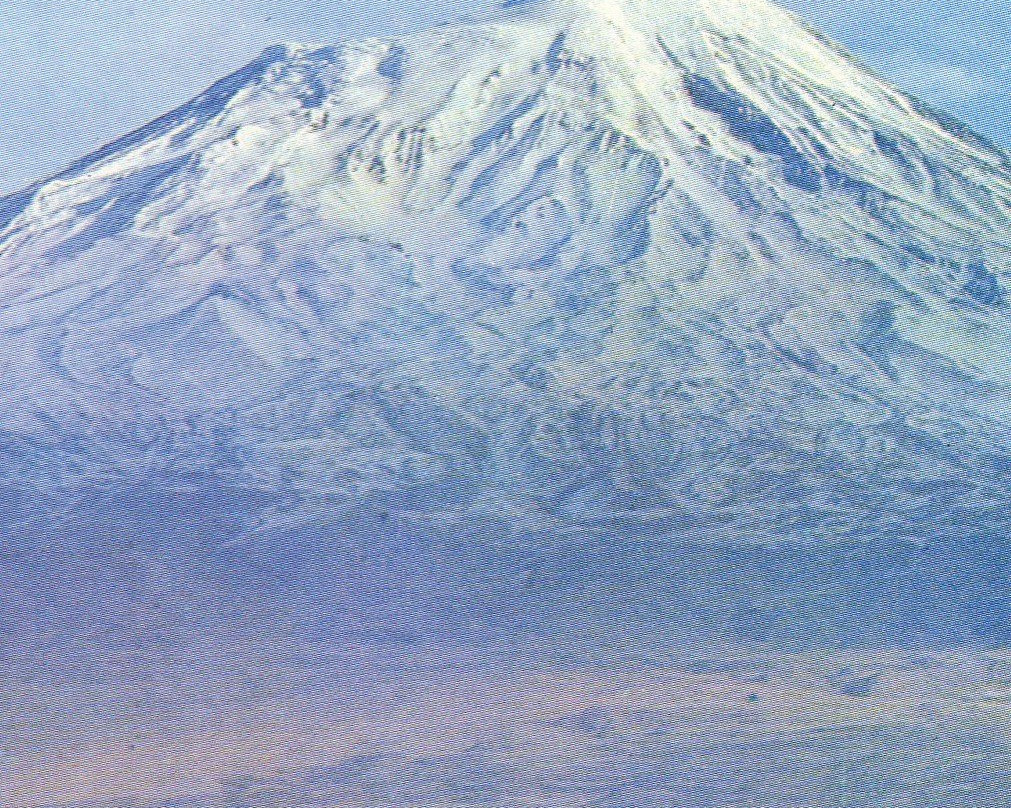 Butik Ertur Hotel主图