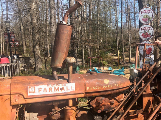 Peach Park-Clanton必去景点