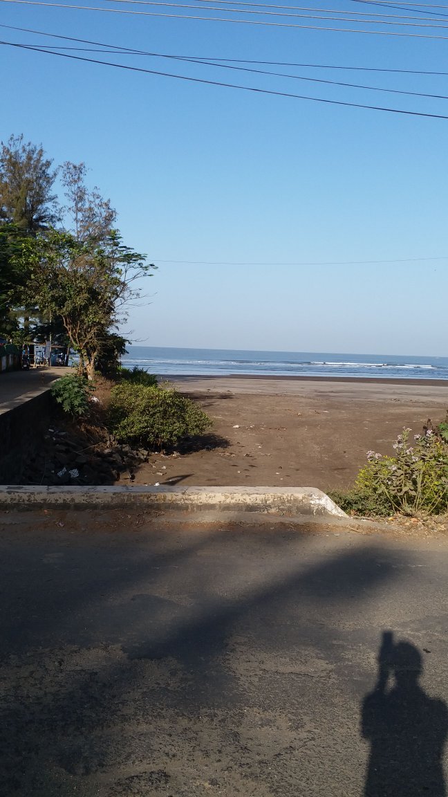 Sea Shell Resort-官方