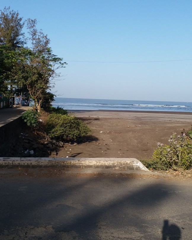 Sea Shell Resort主图