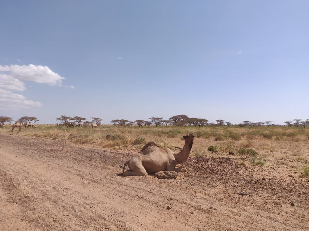 Chalbi Desert-Marsabit必去景点