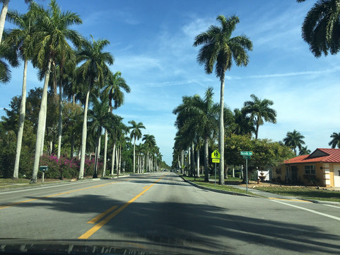 McGregor Boulevard-迈尔斯堡必去景点