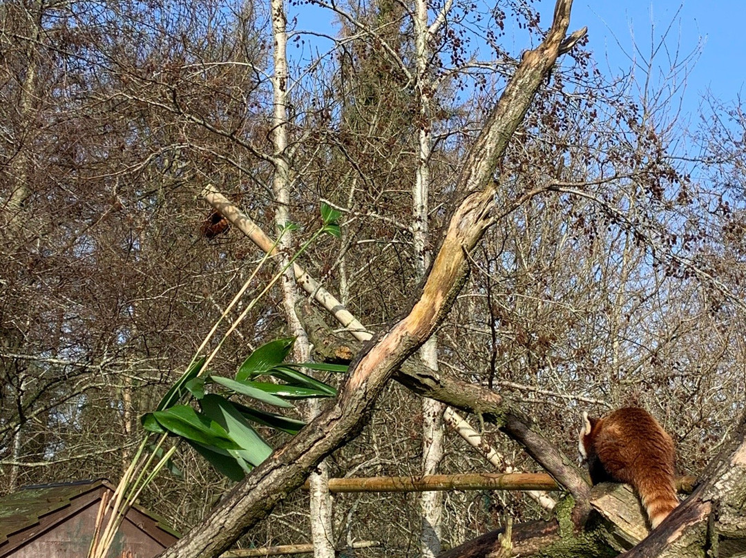 Fota Island Adventure-Fota Island必去景点