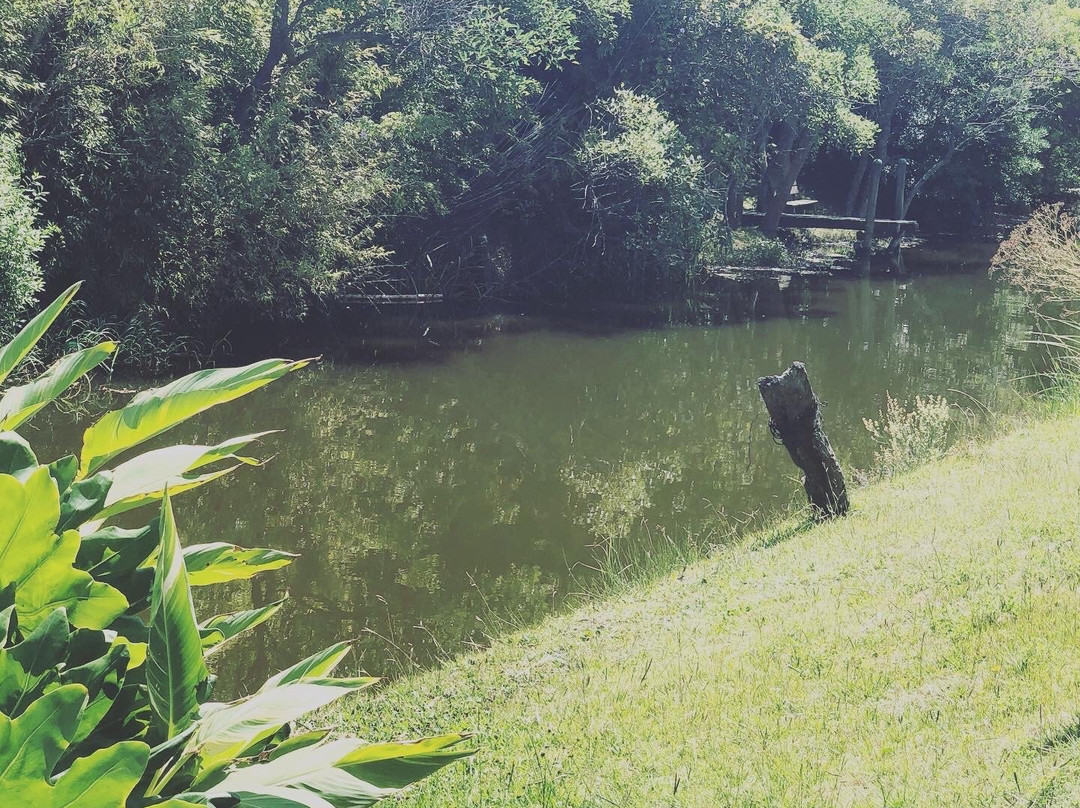 Hotel Marina Punta Colorada主图